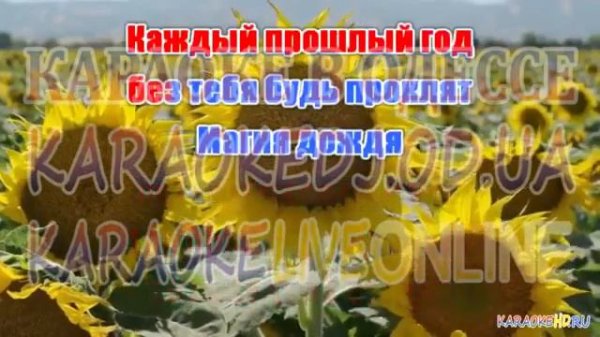 мокрый район и луна (Караоке)