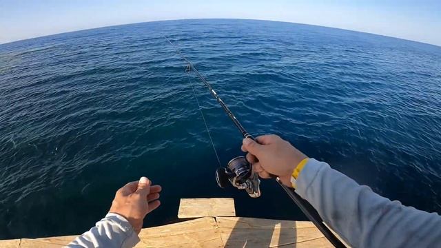 ОГРОМНАЯ зубастая рыба чуть не УТАЩИЛА меня в Красное море!!! Рыбалка в Египте, Хургада, Марса Алам смотреть онлайн