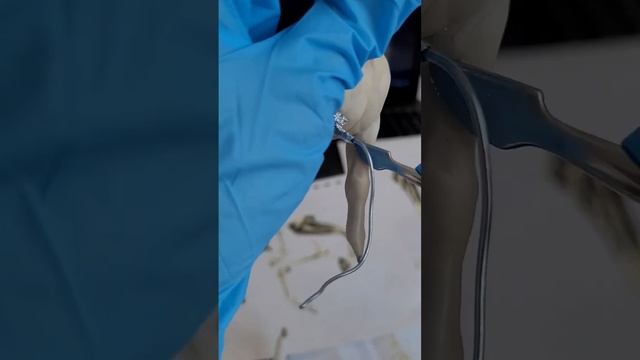 Процесс лепки лошади из полимерной глины смотреть онлайн