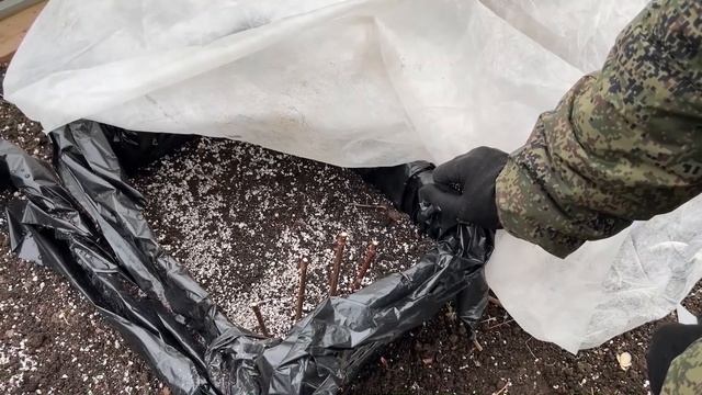 черенкование гортензии + покупка саженцев смотреть онлайн