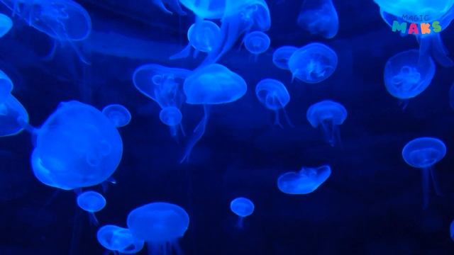 ЗАРЯДКА для детей / Развивающая детская песенка про ЖИВОТНЫХ смотреть онлайн