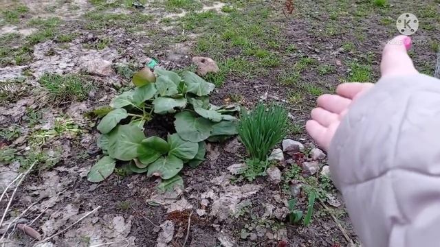 С НАСТУПАЮЩИМ! ЯЙЦА НЕ ПОКРАСИЛИ, НО ПРИЕХАЛИ НА ДАЧУ/НАСТРОЕНИЕ НЕ ОЧЕНЬ/НА ПРИРОДЕ ВСЁ ВКУСНО/ВЛО смотреть онлайн