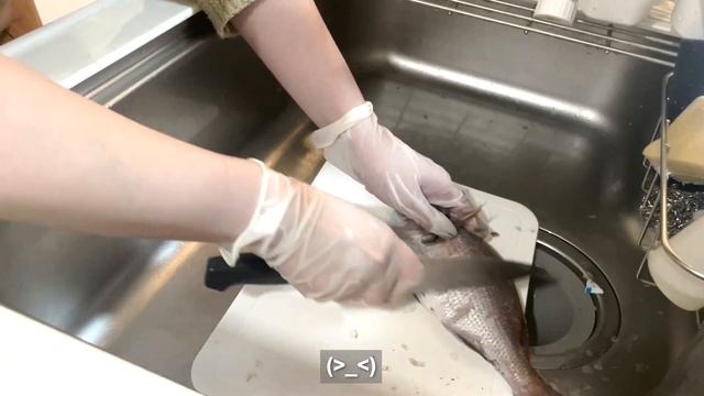 【vlog】暖かい鍋を食べて心も温まる日?Mac Mini購入とレビュー、ステーキ、アクアパッツァ、深夜のマクドナルド、赤から鍋｜1年ぶりの東京の雪を満喫｜新宿散歩｜20代OLの日常｜