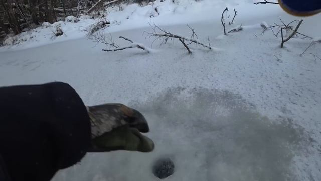 Заваленная тайга. Таёжная речка. Хариус. Трудовая рыбалка поход. смотреть онлайн