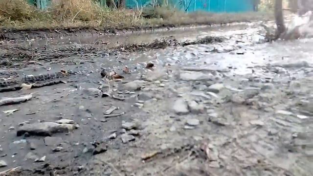 Ну а это мы пробовали делать переходы в видео... Смотрите до конца. смотреть онлайн