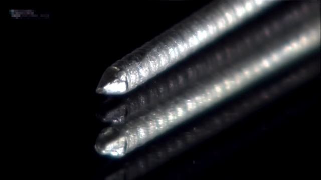 Золотые листья