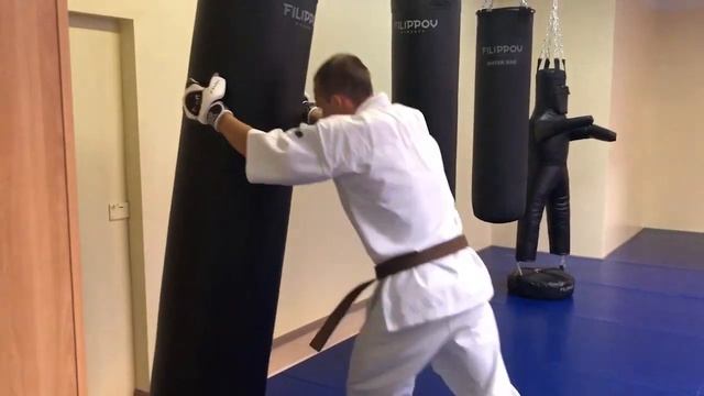 ПРОФЕССИОНАЛЬНЫЙ МЕШОК «ПРЕМИУМ 2» Фабрики "Filippov" смотреть онлайн