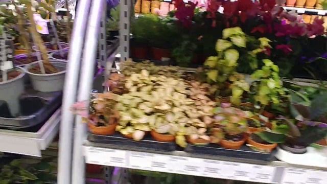 ОЧЕНЬ обидно или как я пролетела с FISKARS ! Обзор товаров и акций в магазине Глобус ! смотреть онлайн