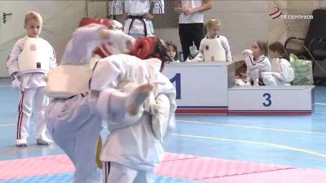 В ФОК «Русский медведь» прошел Чемпионат и Первенство ЦФО по Косики каратэ смотреть онлайн