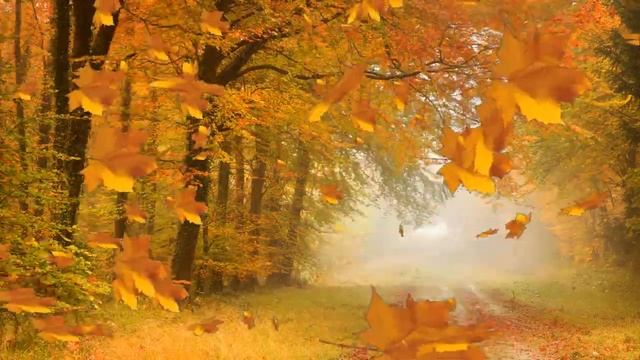 #творчество #хобби #Nina_Mircheva ФОН КРАСИВЫЙ ОСЕНЬ смотреть онлайн