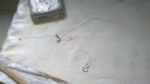 Монтажь закидушки для течения антизакручиватели поводков.