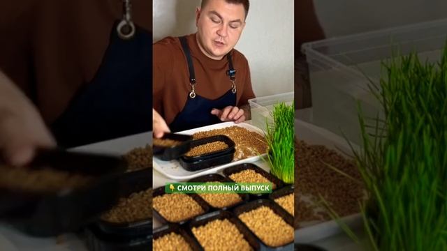 Салаты для Пикника