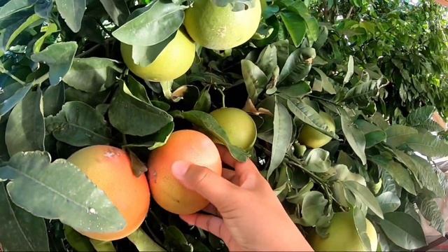 HOLIDAY IN 2021 | DAY BY DAY IN SAHIL | ISKENDERUN HATAY | TURKEY?? смотреть онлайн