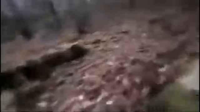 Hysteria Project Обзор Zone Game Su