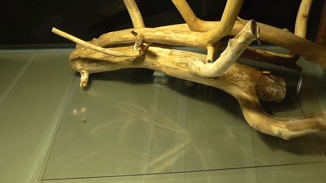 Аквариум 500 л. Часть 3. (доставка,устройство,самп,подготовка) смотреть онлайн