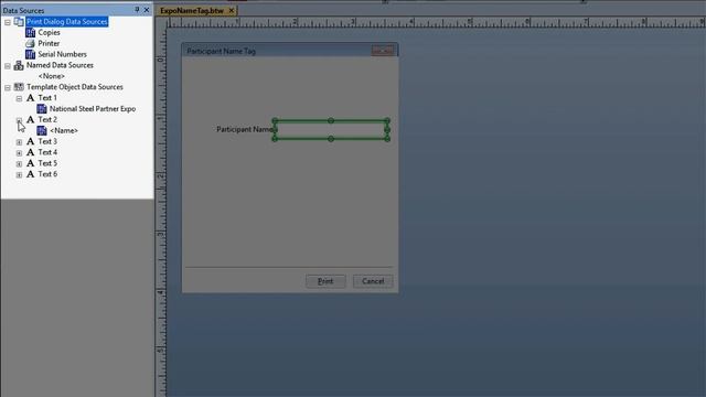 BarTender Designing A Data Entry Form смотреть онлайн