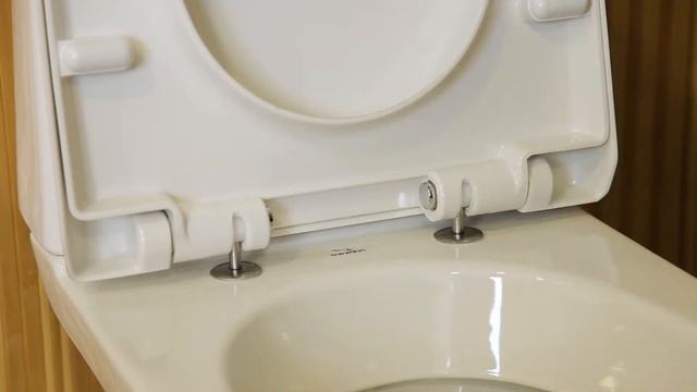 Сидіння унітазне Дюропласт смотреть онлайн