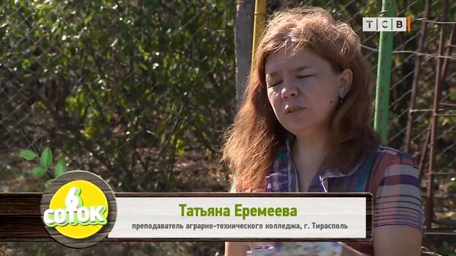 Пион и лилейник. Секреты осенней посадки. 6 соток 21.09.2020 смотреть онлайн