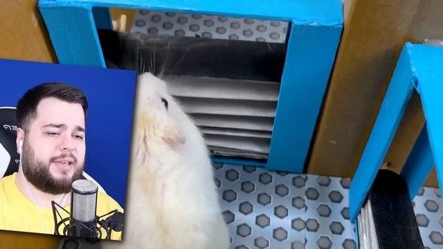 ХОМЯК ПОЙМАЛ МАЛЫША ДЛИННЫЕ НОГИ В ДРОБИЛКЕ Poppy Playtime: Chapter 2 смотреть онлайн