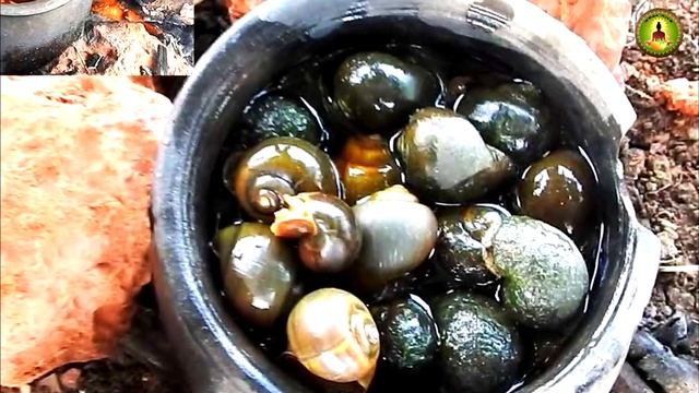 Buccinum (நத்தையின் வைத்தியம் ) смотреть онлайн