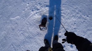 ЛОВИМ СУДАКА НА ВИБЫ ЗИМОЙ С АКТИВНЫМ ПОИСКОМ (ЭХОЛОТ CALYPSO) ЗИМНЯЯ РЫБАЛКА 2024