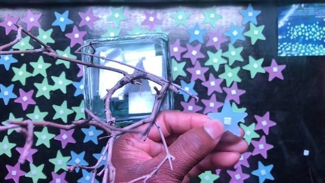 glow in the dark stars 2020 смотреть онлайн
