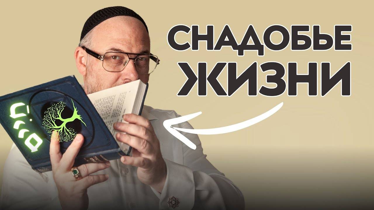 СЕКРЕТ СЧАСТЬЯ. Снадобье жизни. Счастливая Реальность смотреть онлайн