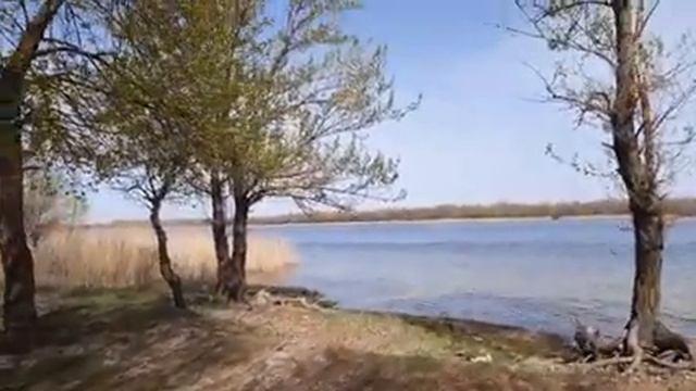Новая Каховка, на берегу реки возле Днепрянской школы, пляж. смотреть онлайн