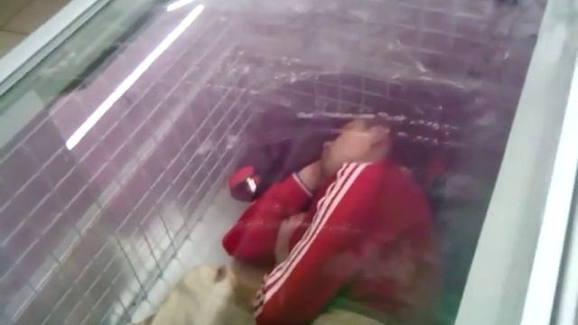 Бухие мужики спят в Пятерочке смотреть онлайн