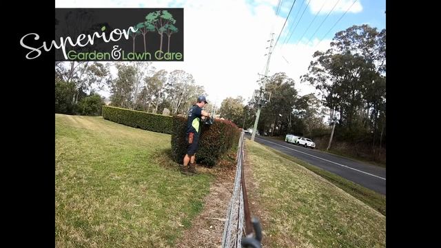 Hedge trimming using the 18v Makita DUH752 смотреть онлайн