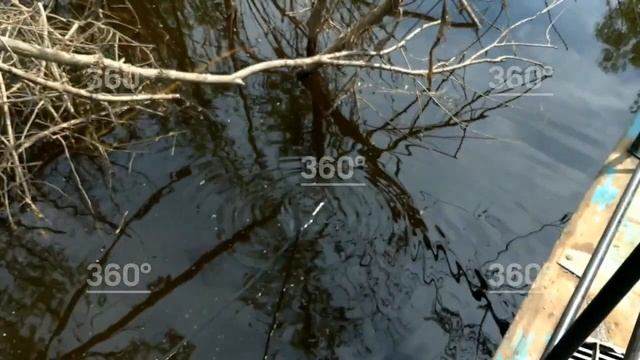 Восемь тонн выловленной рыбы изъяли в Красноярском крае смотреть онлайн