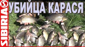 Рыбалка с ночевкой Убийца карася РЕАЛЬНО ловит КАРАСЯ и не только