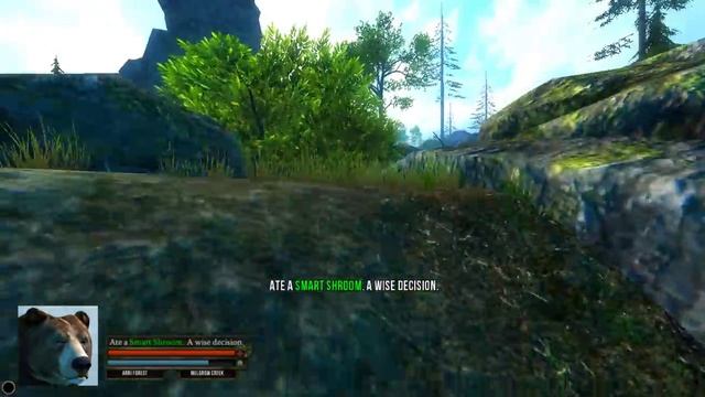 Bear Simulator что с тобой не так миша ? смотреть онлайн