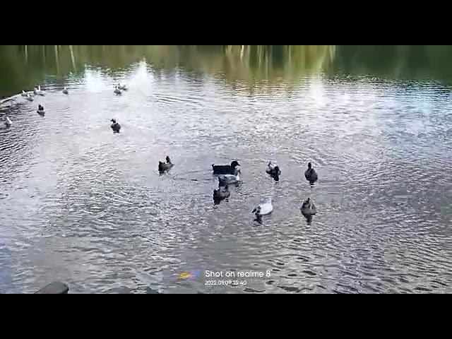 9 сентября 2022 г. смотреть онлайн