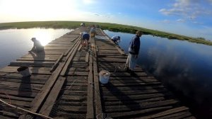Рыбалка 2022 ЁКЛМН , кастинговая сеть против паука ! Рыбалка на паук подъемник весной 2022