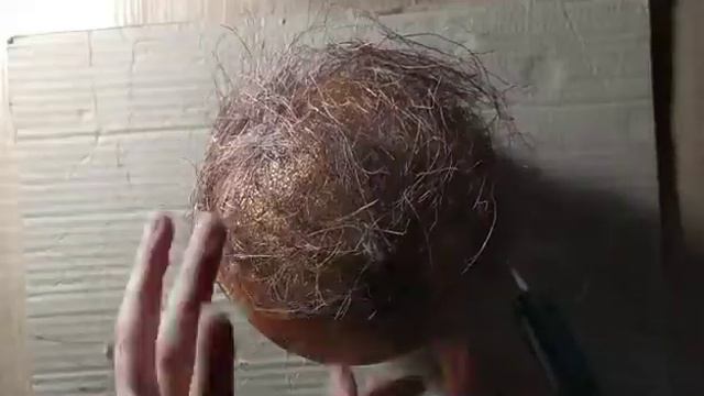 Топиарий Своими Руками!!!|Из Природных Материалов??✨ смотреть онлайн