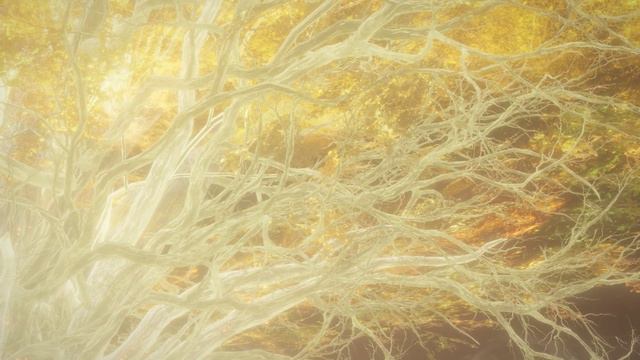 Melina's Death Cutscene in Elden Ring смотреть онлайн