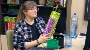 Как правильно пикировать томаты. Лучший способ пикировки томатов. Все нюансы пикировки томатов.