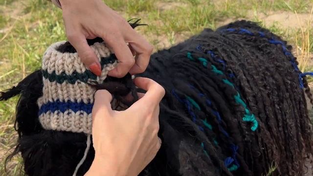 СОБАКА ХИППИ| ВЯЖЕМ шапку собаке | Собака с дредами | Rasta dog | shepherd dog смотреть онлайн