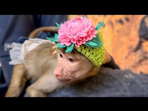 Вы СМЕЯТЬСЯ будете долго! Такой Люську вы ещё не видели!