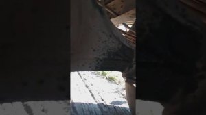 замена заднего амортизатора Газель