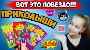 ? ПРИКОЛЫШИ ? УДАЧА или ЛАЙФХАК? // НАШЛИ МНОГО РЕДКИХ ПРИКОЛЫШЕЙ (VLOG)
