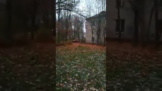 Гатчина район Мариенбург смотреть онлайн