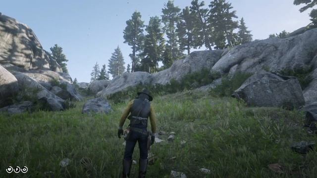 Un encuentro con los grises - Un nuevo Easter Egg - Red Dead Redemption 2 смотреть онлайн