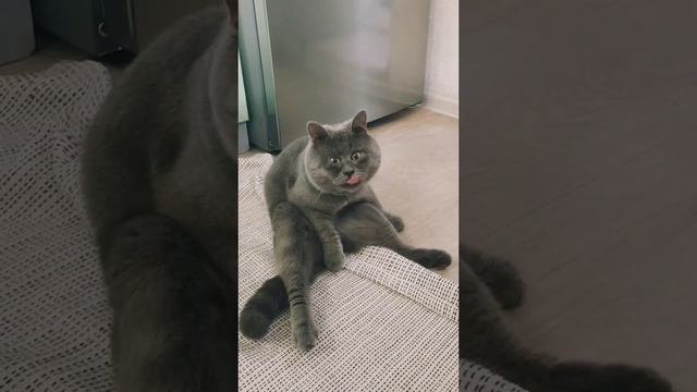 Федя! Ты что ли?!.. смотреть онлайн