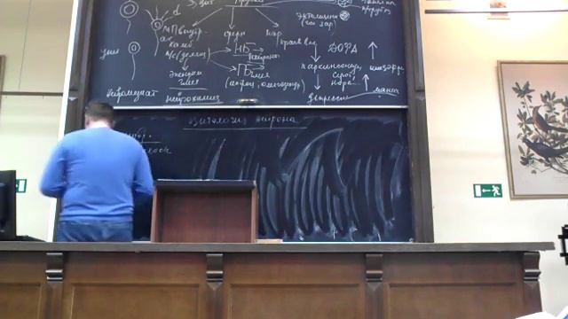 Лекция Гистология | №06 #1 Ткани нервной системы смотреть онлайн