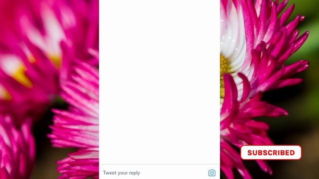 Picoworkers New Entry Task | Mazhar Saeed смотреть онлайн
