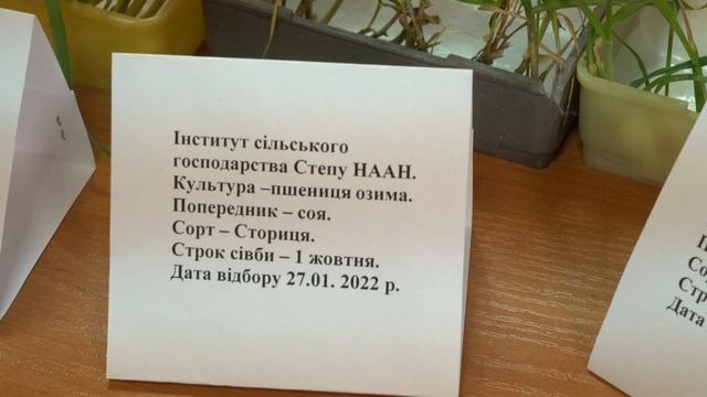 Н.Умрихін: "Я люблю працювати в полі та спостерігати за рослинами" смотреть онлайн