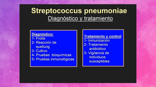 S Pneumoniae Y Otros Estreptococos