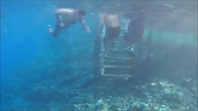 Hotel Tropitel Oasis In Dahab